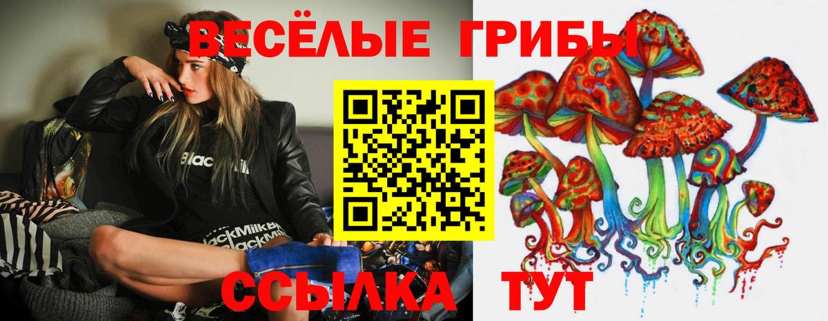 Псилоцибиновые грибы ЛСД  Вход с VPN  где можно купить наркотик  Шарыпово  Псилоцибиновые грибы Psilocybine cubensis 