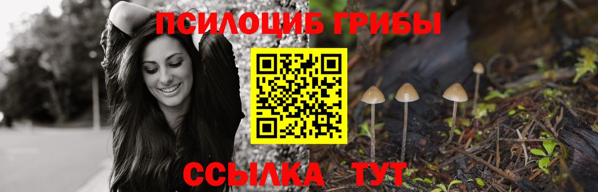 Галлюциногенные грибы Psilocybine cubensis Шарыпово